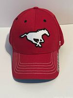 Front view showing horse logo and visor stitching