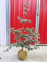 Full view of faux Christmas tree showing height and overall appearance