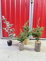Group shot of the four tabletop trees showing sizes and bases