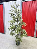 Full view of faux weeping spruce tree in pot