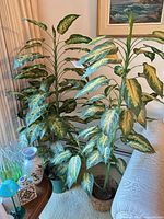 Both artificial variegated plants beside sofa showing containers