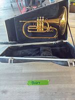 Mellophone in open hard case