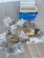 Blue Igloo Take 6 cooler with lid open, nine bagged or loose mineral stones on floor