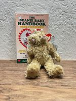 Ty Rafaella bear plush seated in front of 1998 Beanie Baby Handbook