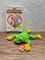 Front view of Ty Smoochy plush and handbook