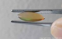 Side profile of marquise opal held by tweezers showing thickness and color flash