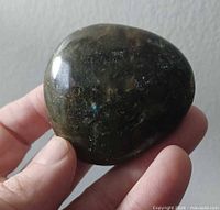 Front view of polished labradorite showing sheen