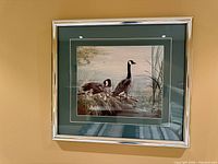 Overall view of framed wildlife print with silver frame and green mat