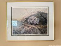 Full view of framed Leslie Calvert bobcat print