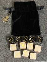 Velvet pouch with charm and 12 acrylic counter dice displayed