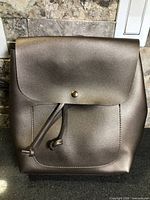 Front view of metallic champagne backpack purse with flap, drawstring and front pocket