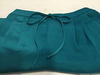 Front view of waistband with drawstring and pleats