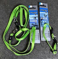 Collar and leash in packaging, full view