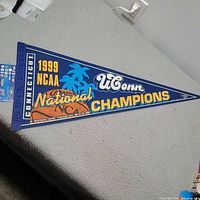 Full view of triangular blue felt pennant