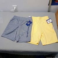 Both pairs of Champion kids' shorts laid flat, showing colors and tags