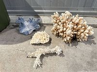 all four coral pieces on concrete