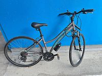 Full view of grey Nakamura step-through bicycle leaning against blue wall