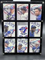 Front view showing nine signed Blue Jays cards in acrylic frame