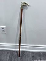 Full view of walking stick showing eagle handle and length