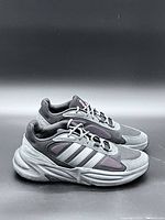 Lateral view of both shoes showing color, material, and sole condition