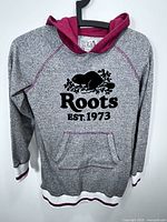 Front view of Roots hooded sweater