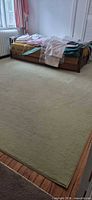 Full view of green area rug in room