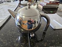 Front view of polished stainless steel spherical teapot showing lid, handle, spout and ball foot