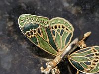 Front view showing enamel details on wings