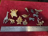 All twelve brooches and pins with ruler for scale