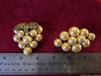 Front view of both grape cluster pieces with ruler for scale