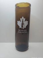 Front view showing full ReBeer glass, decal and colour