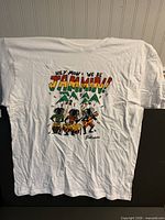 Front of white T-shirt showing full graphic and size indication