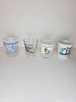 Group shot of the four souvenir shot glasses