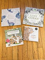 All four adult coloring books displayed