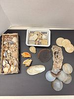 Overview of all shells, stones, coasters