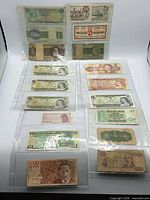 All banknotes in plastic sleeves laid out