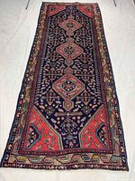 Full view of the Hamedan runner carpet showing overall design and dimensions
