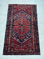 Full view of Zanjan rug showing overall design and dimensions