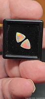 Pair of trillion cut opals on display pad, showing size and color play