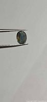 Oval blue-green sapphire in tweezers profile view