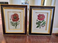 Frontal view of both framed prints showing artwork and frames