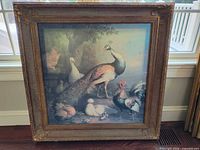 Framed bird print front view