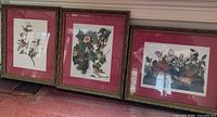Three framed bird prints leaning against wall