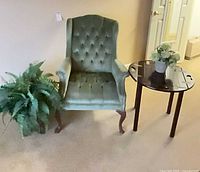 Overall view of armchair, side table, floor fern, tabletop plant
