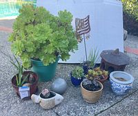 Group view of all plants, pots, pagoda, flag stake and gazing ball on patio