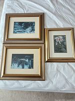overview of three framed prints
