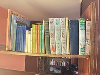 Shelf view showing full group of books