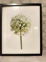Full view of framed Allium print