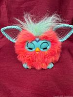 Front view showing multicolored Furby with teal features
