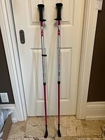 Full view of both poles leaning against door